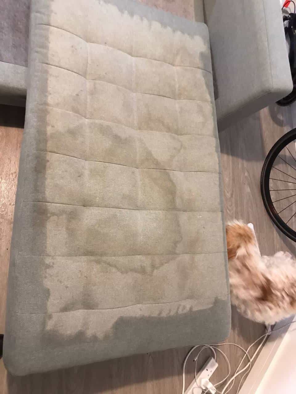 K&S Carpet Cleaning Worthing Best Carpet Cleaner